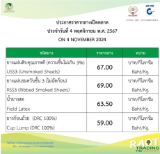 ราคากลางยางพารา ประจำวันที่ 4 พฤศจิกายน 2567