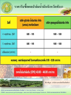 ราคารับซื้อผลปาล์มน้ำมันจังหวัดพังงา