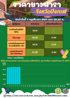 ราคายางพาราจังหวัดบึงกาฬ ประจำวันที่ 7 พฤศจิกายน 2567