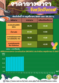 ราคายางพาราจังหวัดบึงกาฬ ประจำวันที่ 11 พฤศจิกายน 2567