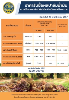 ราคารับซื้อผลปาล์มน้ำมัน