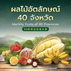 ผลไม้อัตลักษณ์ 40 จังหวัด (Identity Fruits of 40 Provinces)