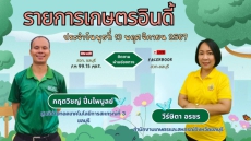 รายการ เกษตรอินดี้ ประจำวันพุธที่ 13 พฤศจิกายน 2567