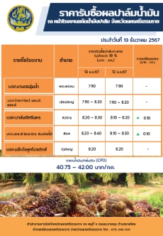 ราคารับซื้อผลปาล์มน้ำมัน