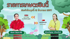 รายการ เกษตรอินดี้ ประจำวันพุธที่ 18 ธันวาคม 2567