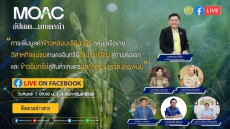 Liveรายการอัปเดตเกษตรนำวันจันทร์ที่3กุมภาพันธ์