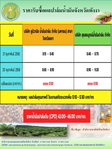 ราคารับซื้อผลปาล์มน้ำมันจังหวัดพังงา