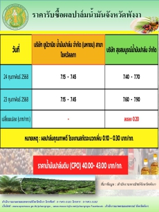 ราคารับซื้อผลปาล์มน้ำมันจังหวัดพังงา