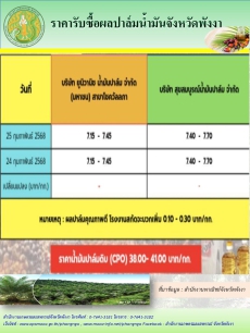 ราคารับซื้อผลปาล์มน้ำมันจังหวัดพังงา