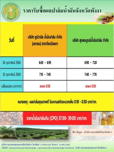 ราคารับซื้อผลปาล์มน้ำมันจังหวัดพังงา