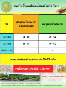 ราคารับซื้อผลปาล์มน้ำมันจังหวัดพังงา