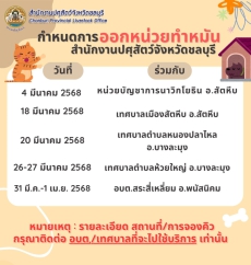 ตารางการออกหน่วยบริการทำหมันและฉีดวัคซีนสุนัขและแมว