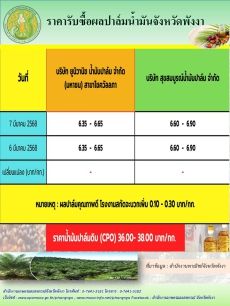 ราคารับซื้อผลปาล์มน้ำมันจังหวัดพังงา