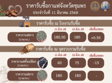 ราคารับซื้อกาแฟจังหวัดชุมพร ประจำวันที่ 11 มีนาคม 2568