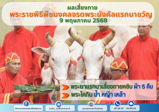 ผลเสี่ยงทายพระราชพิธีพืชมงคลจรดพระนังคัลแรกนาขวัญ