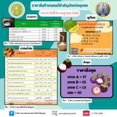 ราคาสินค้าเกษตรจังหวัดชุมพร ประจำวันที่ 8 กรกฎาคม 2568