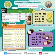 ราคาสินค้าเกษตรจังหวัดชุมพร ประจำวันที่ 21 กรกฎาคม 2568