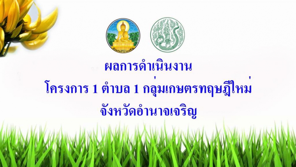 ผลการดำเนินงานโครงการ