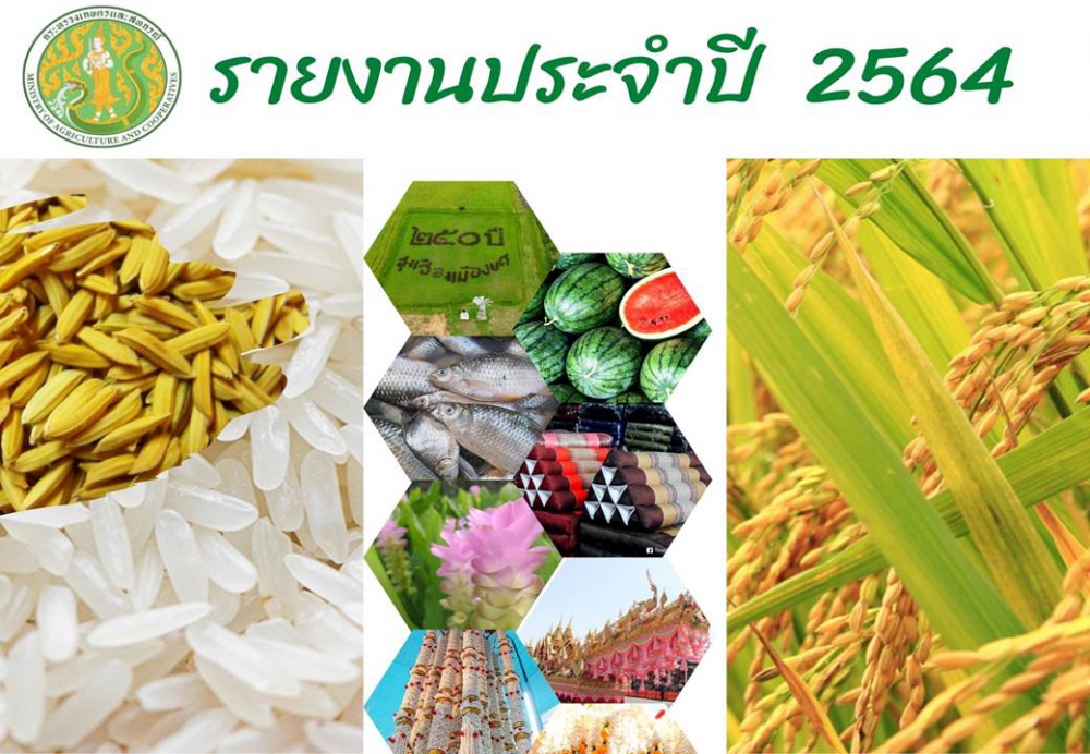 รายงานประจำปี 2564