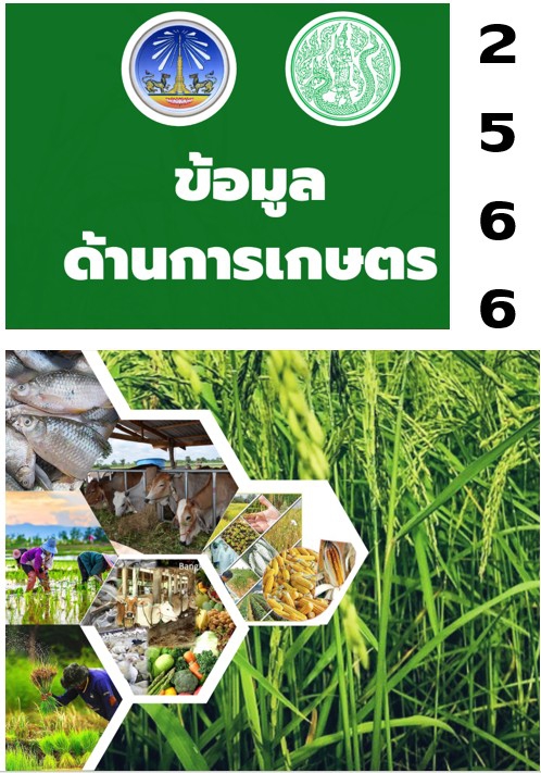 ข้อมูลด้านการเกษตร ปี 2566