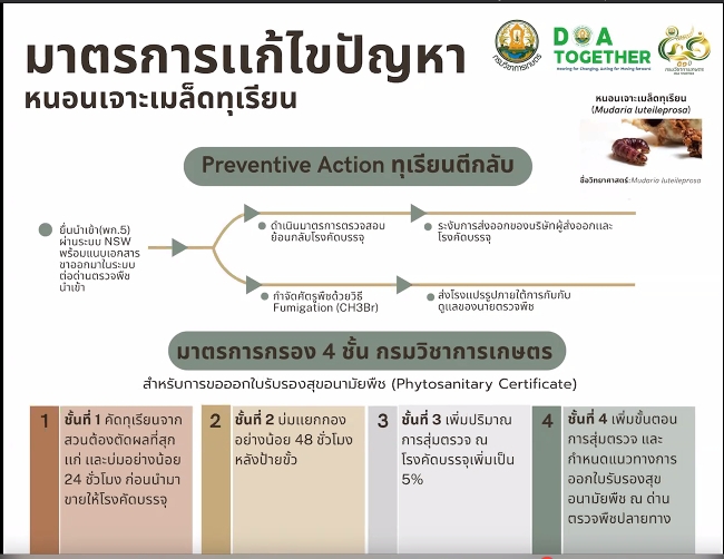 มาตรการกรอง4ชั้นเพื่อป้องกันปัญหาหนอนเจาะเมล็ดทุเรียน