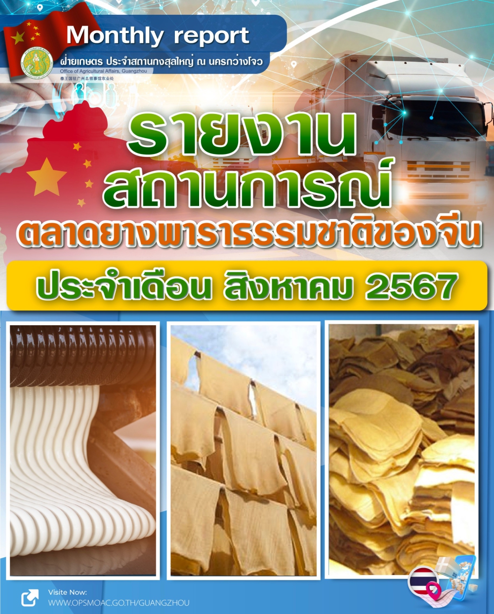 รายงานตลาดยางพาราธรรมชาติของจีน ประจำเดือนสิงหาคม 2567