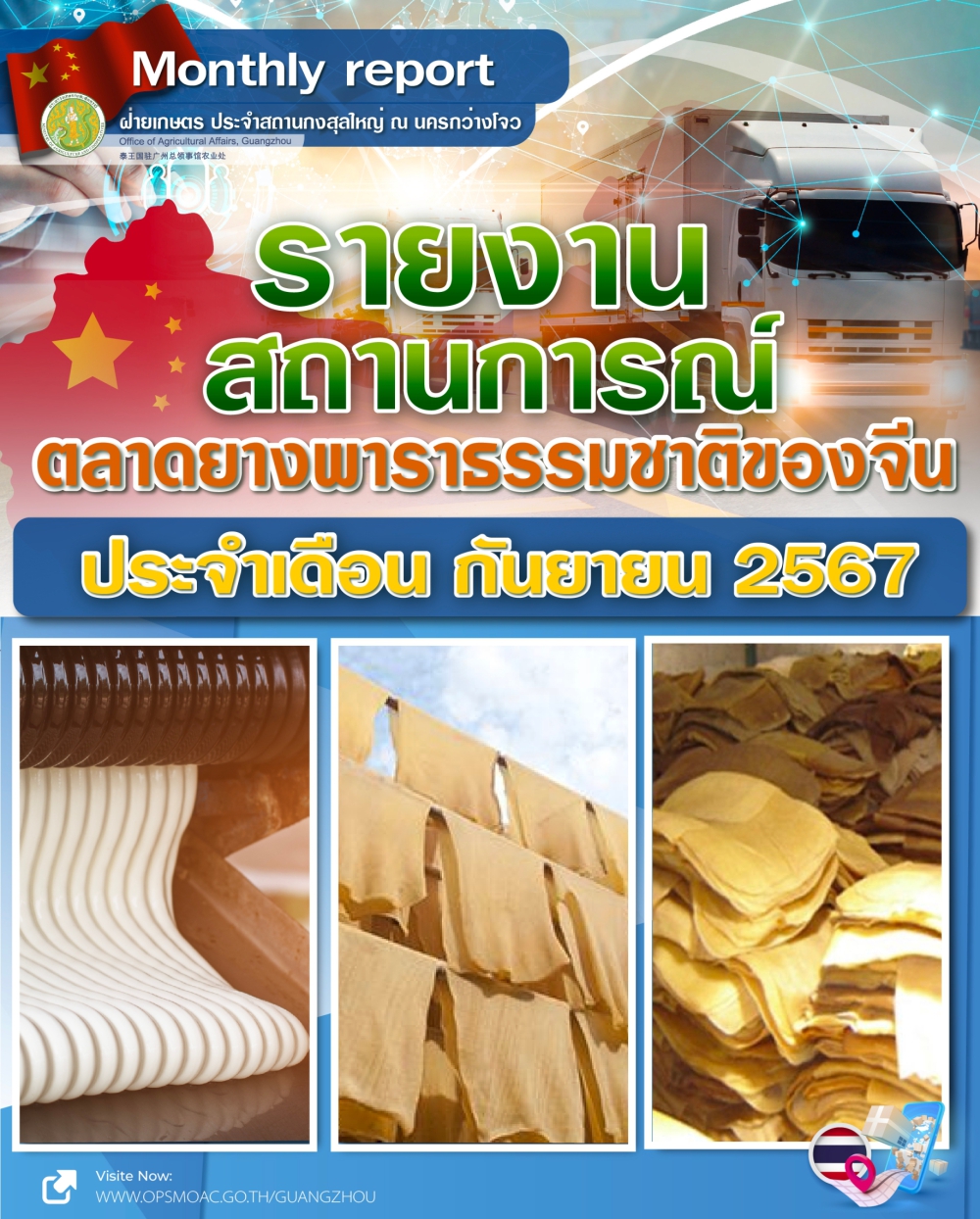 รายงานตลาดยางพาราธรรมชาติของจีน ประจำเดือนกันยายน 2567