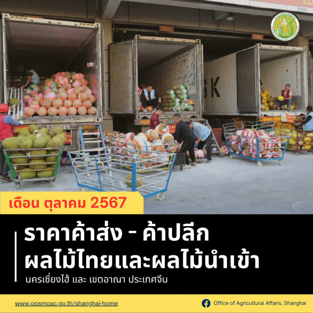 ข้อมูลราคาค้าส่ง-ค้าปลีกผลไม้ไทยและผลไม้นำเข้าของประเทศจีน