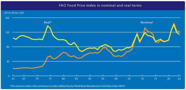 FAO รายงานข้อมูลดัชนีราคาอาหารโลก ในเดือนตุลาคม 2567