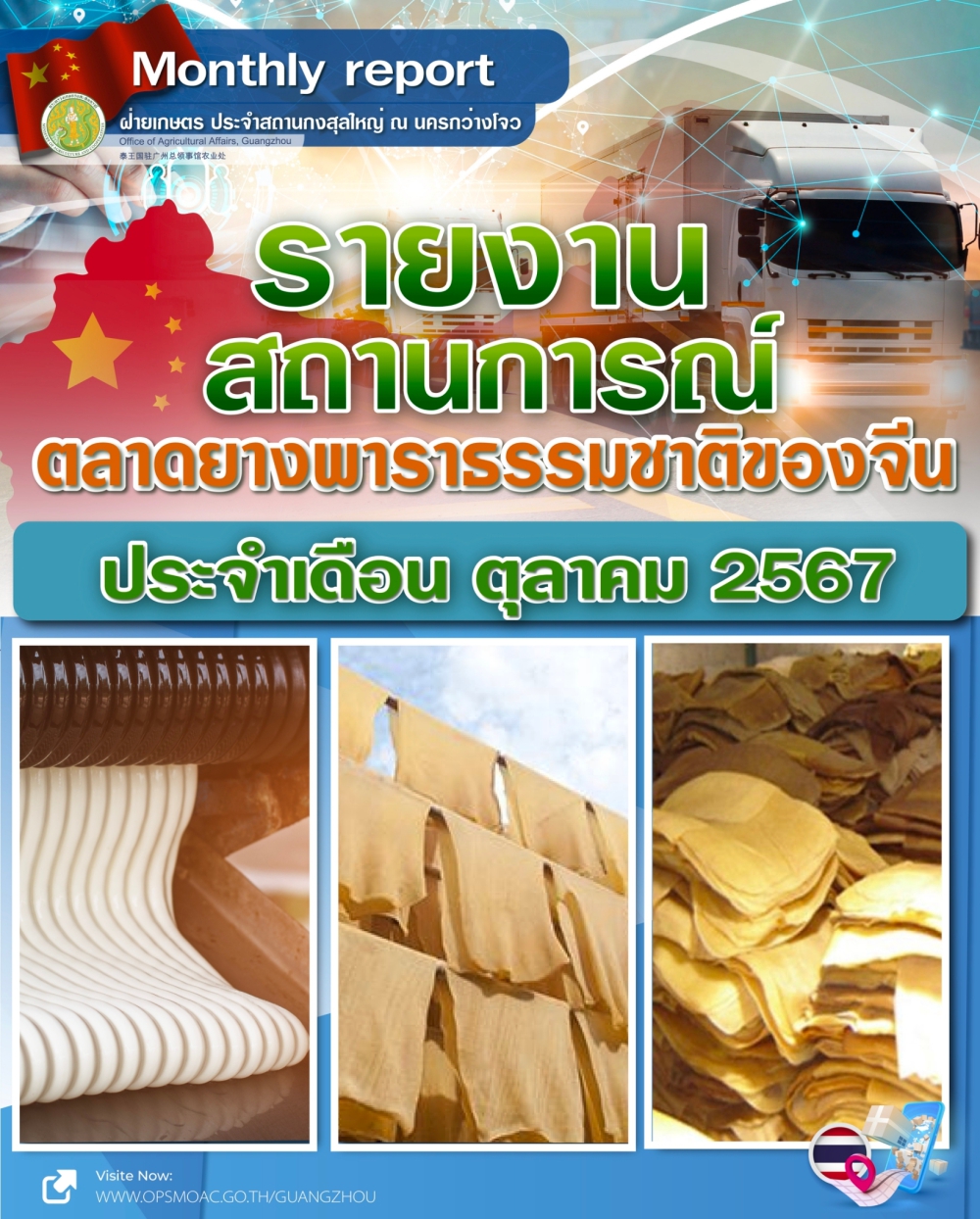 รายงานตลาดยางพาราธรรมชาติของจีน ประจำเดือนตุลาคม 2567