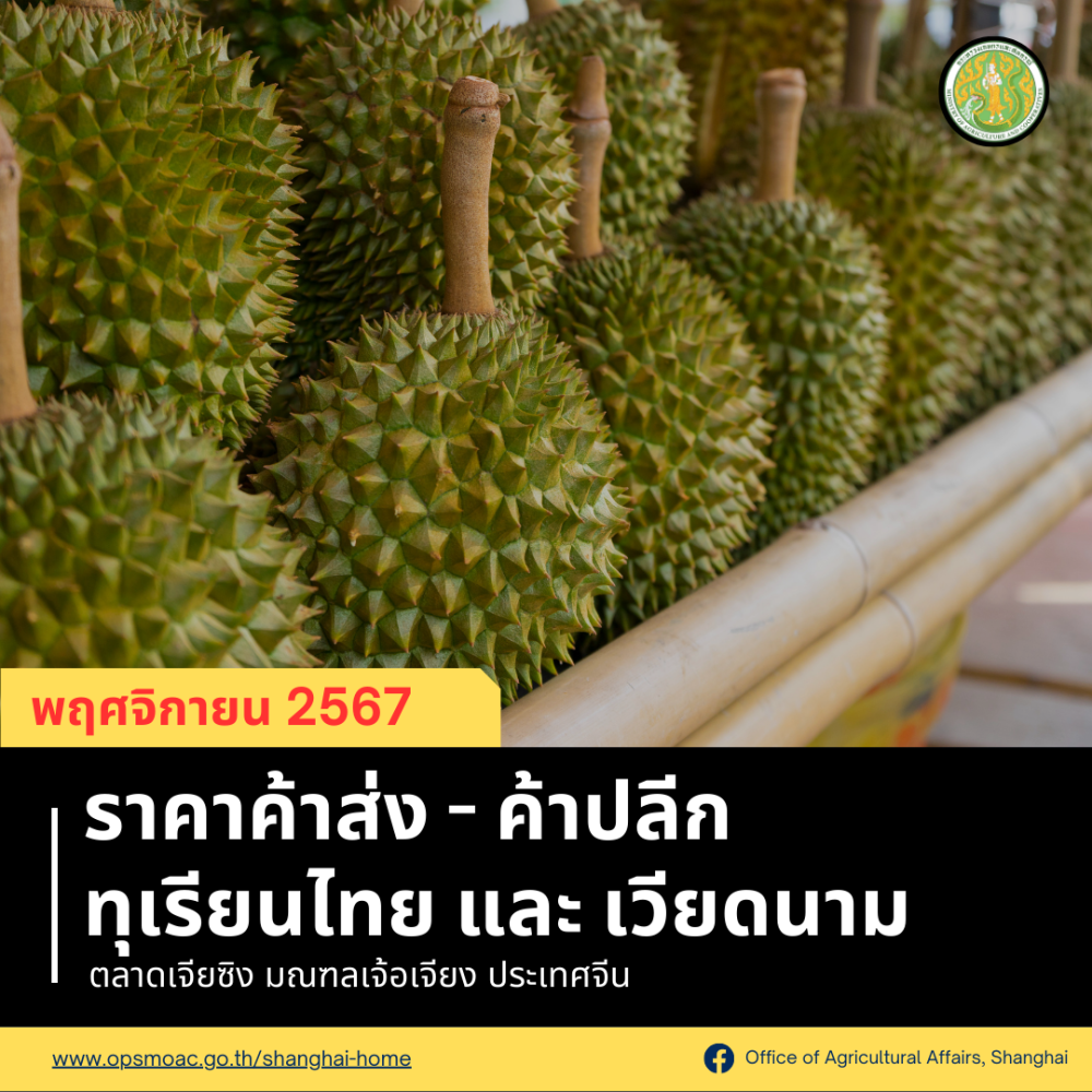 ราคาทุเรียนหมอนทองตลาดเจียซิง พย.67