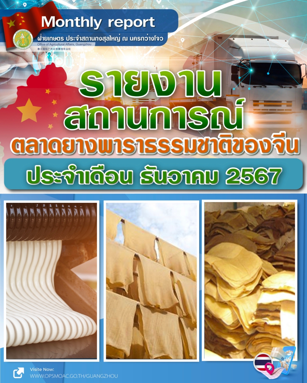 รายงานตลาดยางพาราธรรมชาติของจีน ประจำเดือนธันวาคม 2567