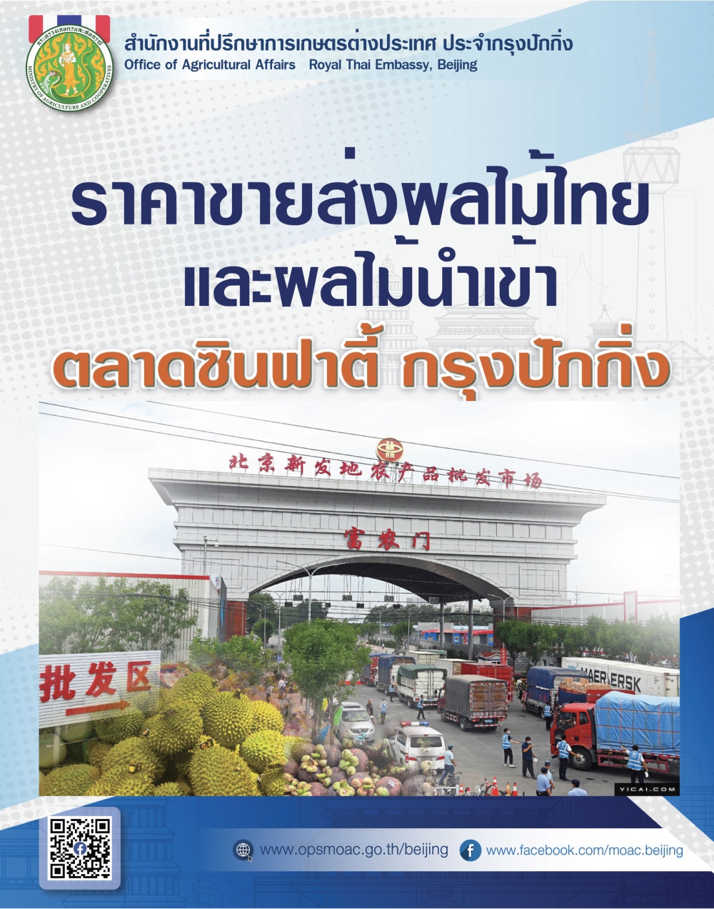 สถานการณ์และราคาผลไม้ขายส่งจากตลาดซินฟาตี้และราคาขายปลีกประจำเดือนมีนาคม