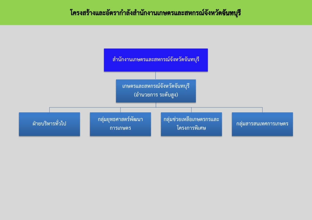 โครงสร้างองค์กร.1