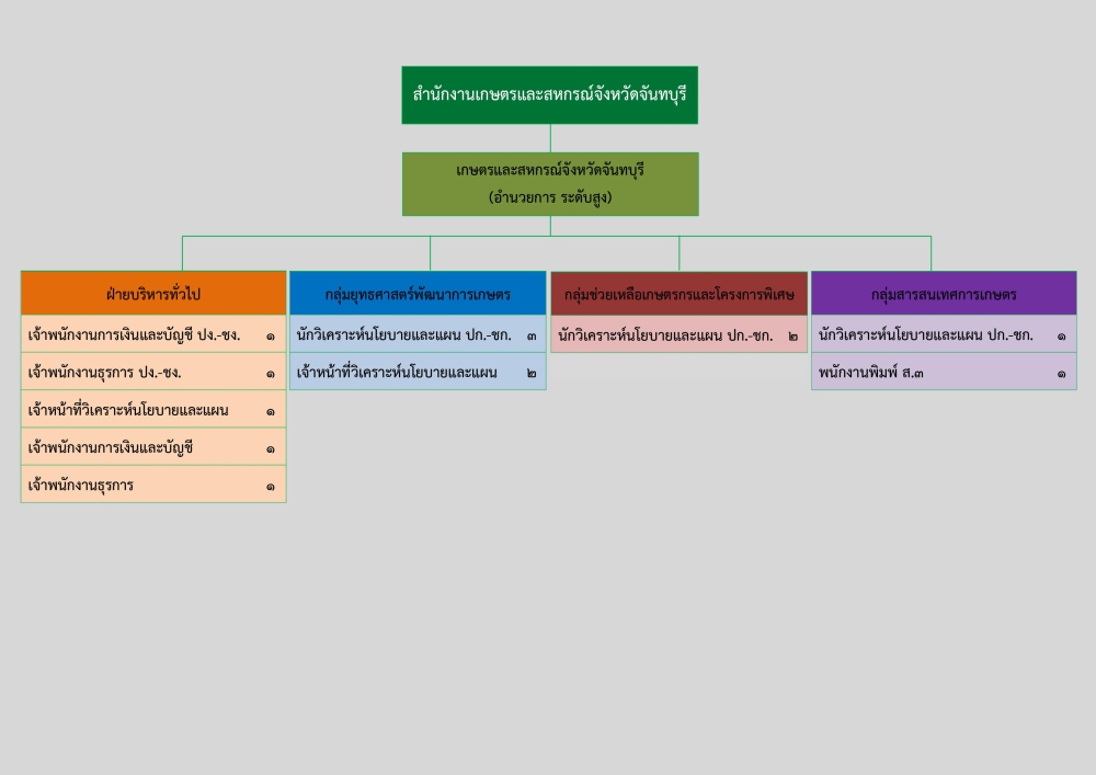 โครงสร้างองค์กร.2