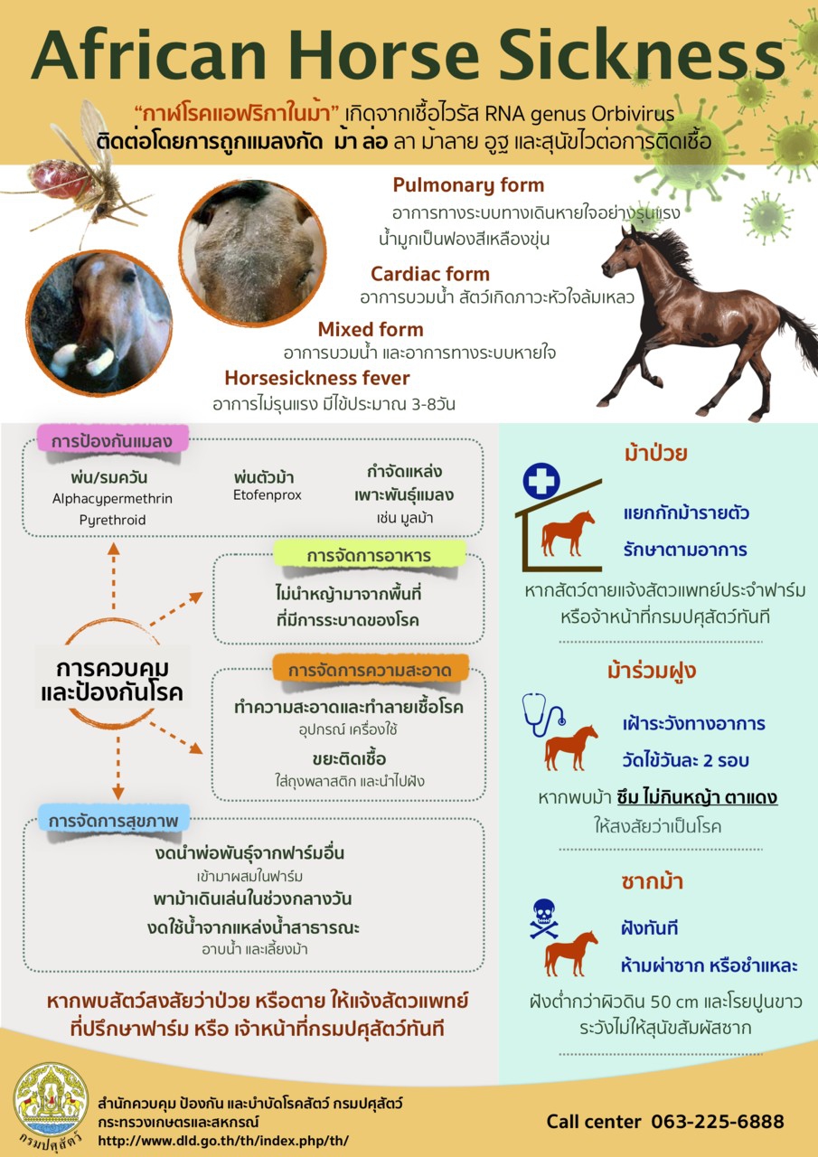 ประชาสัมพันธุ์การป้องกันการระบาดของโรคกาฬโรคแอฟริกาในม้า