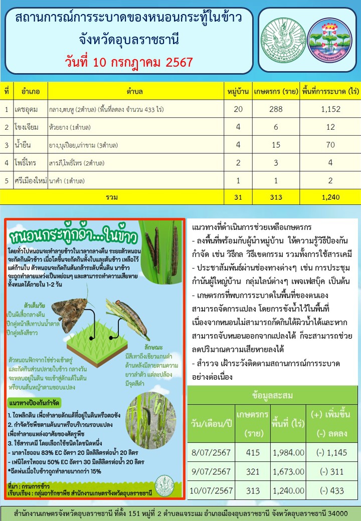 สถานการณ์การระบาดของหนอนกระทู้ ในข้าว