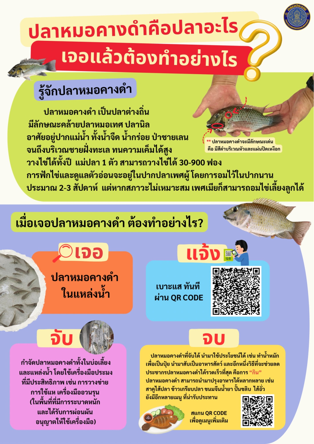 เจอแจ้งจัดจบ (ปลาหมอคางดำ)