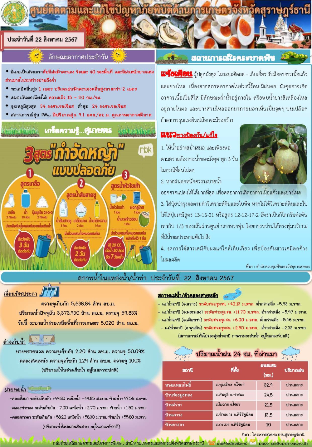 รายงานสถานการณ์ประจำวัน