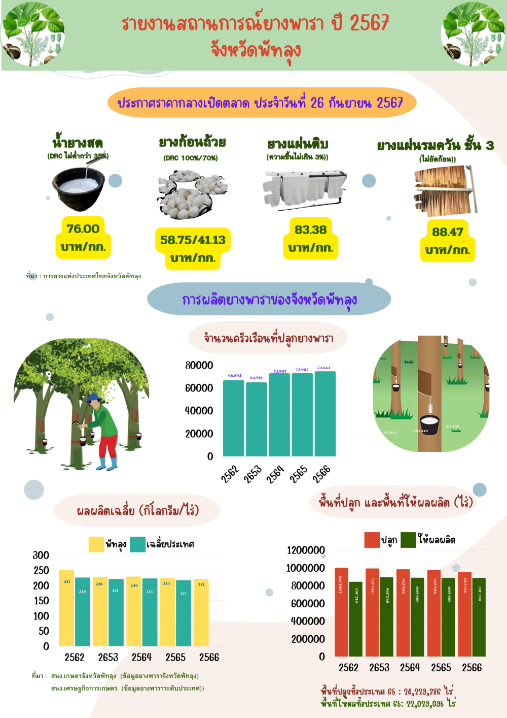 ราคายางพาราประจำวันที่ 26 กันยายน 2567