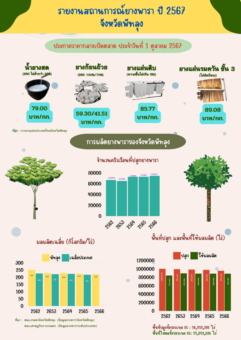 ราคายางพาราประจำวันที่ 1 ตุลาคม 2567