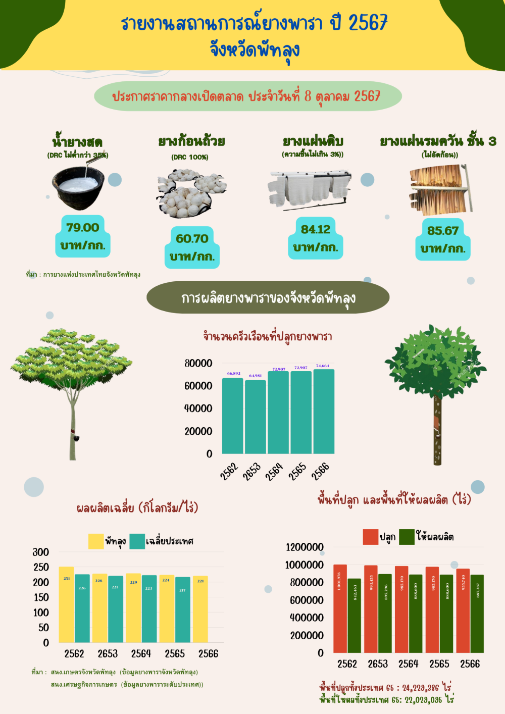 ราคายางพาราประจำวันที่ 8 ตุลาคม 2567