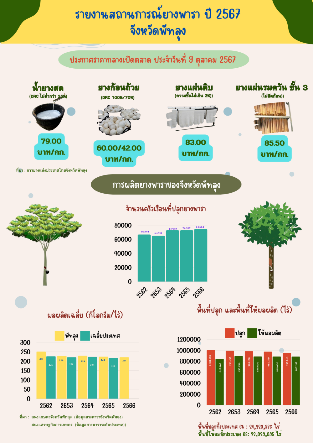 ราคายางพาราประจำวันที่ 9 ตุลาคม 2567