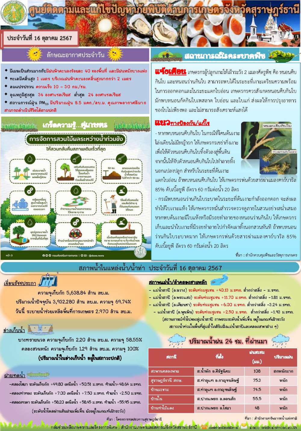 รายงานสถานการณ์ประจำวัน