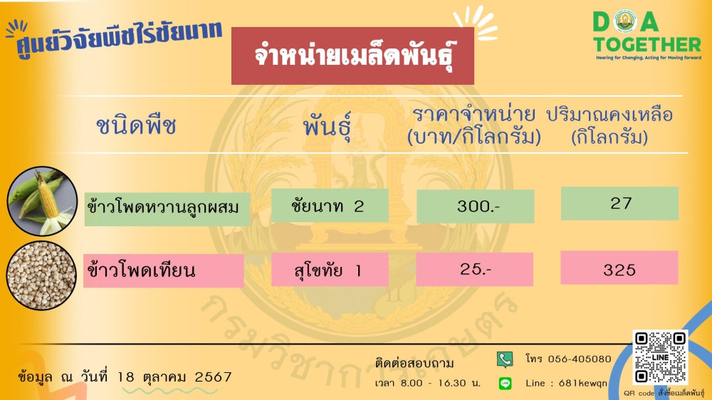 ราคาเมล็ดพันธุ์ถั่วเขียวข้าวโพดฝักสด