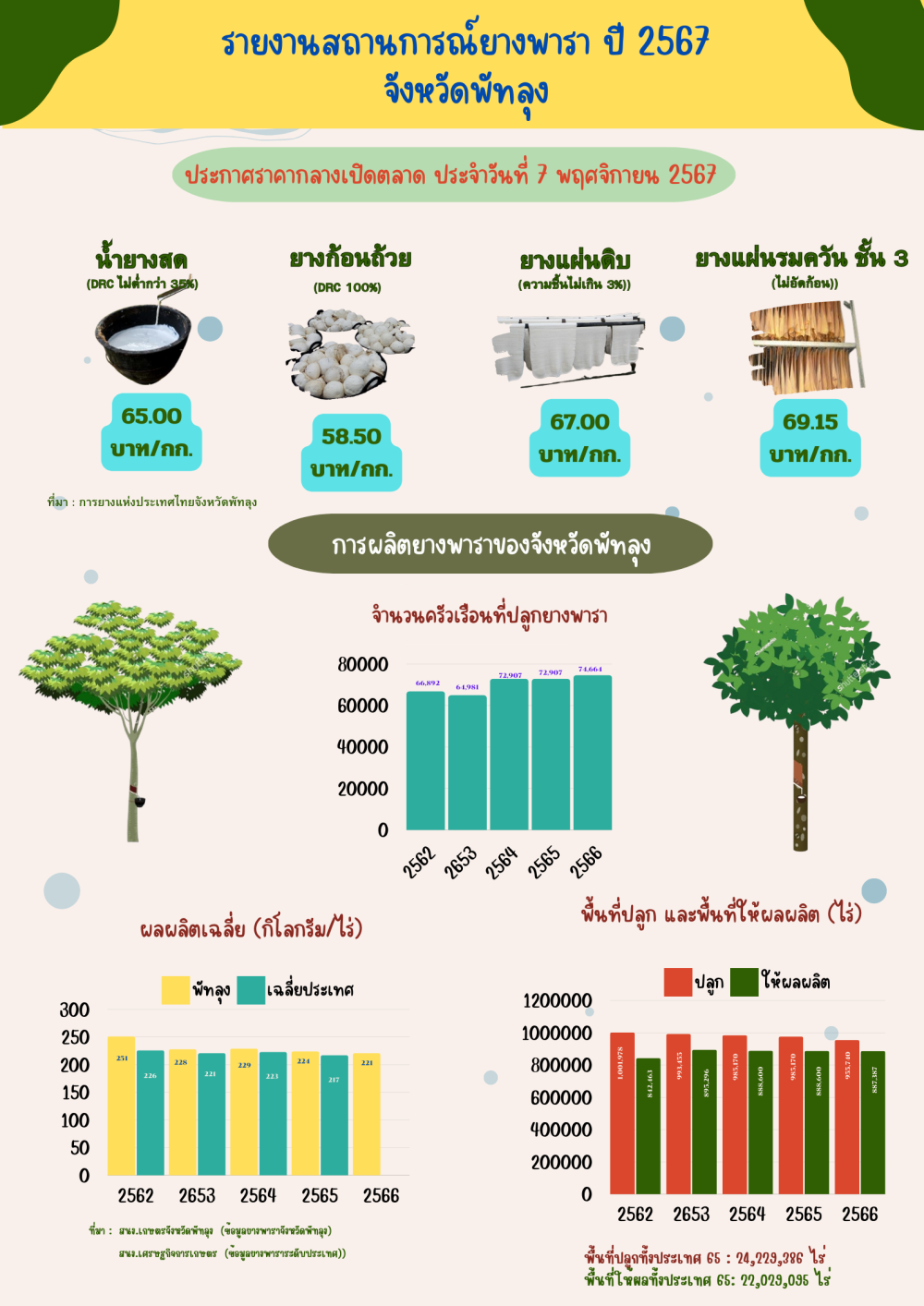 ราคายางพาราประจำวันที่ 7 พฤศจิกายน 2567