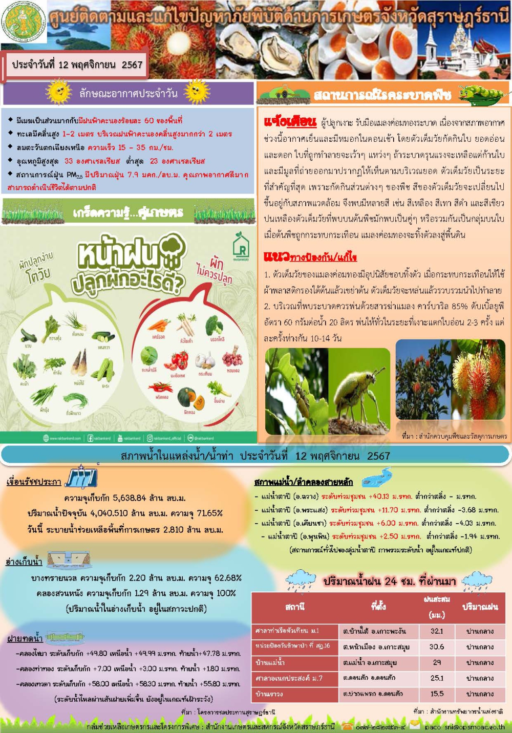 รายงานสถานการณ์ประจำวัน