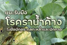 เตือนการเฝ้าระวัง