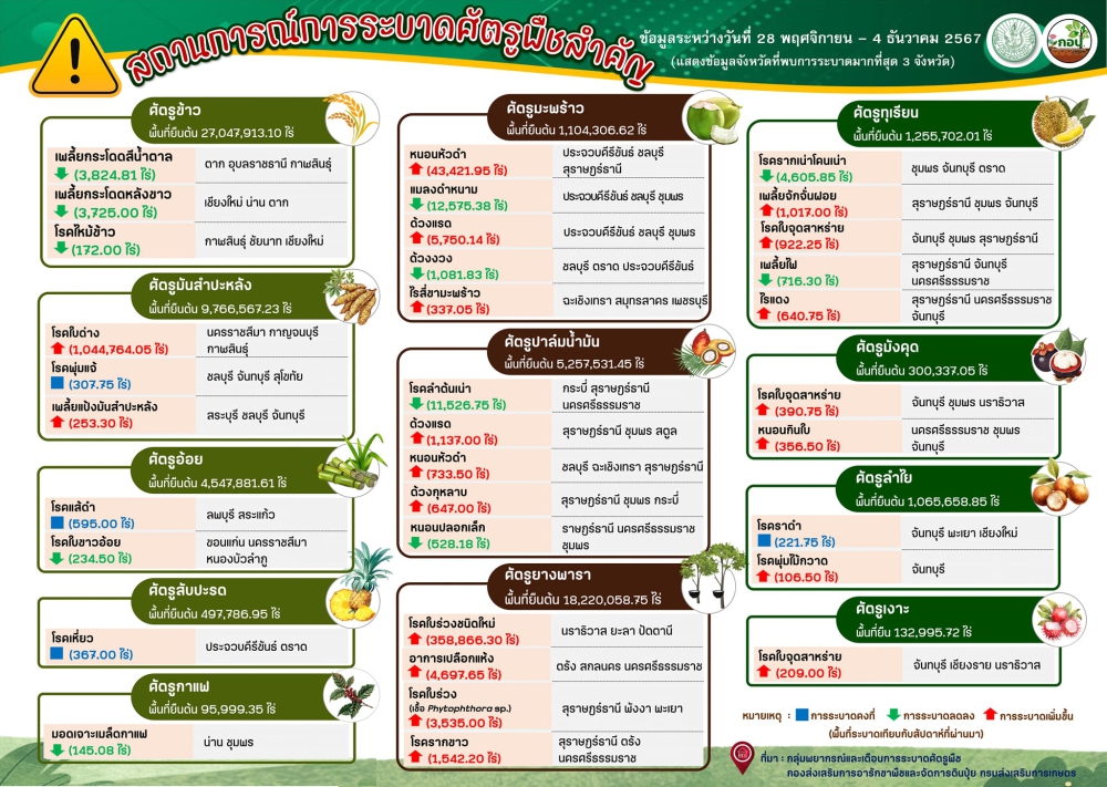 รายงานสถานการณ์ศัตรูพืชระบาด