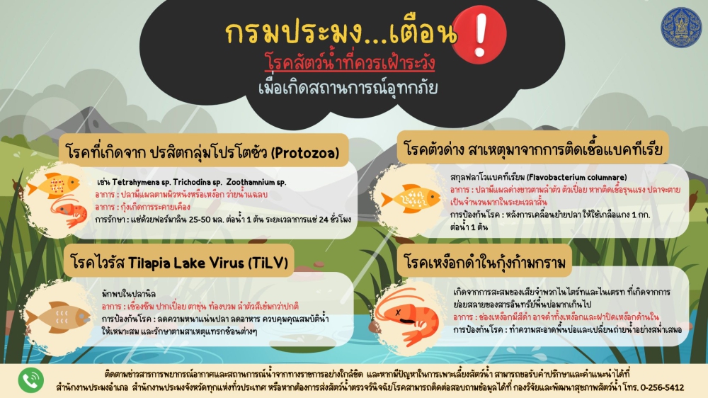 กรมประมงเตือน โรคสัตว์น้ำเมื่อเกิดอุทกภัย